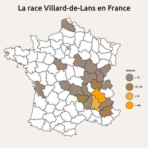 Inventaire des animaux de race Villard-de-Lans nés avant le 31 décembre 2019 et présents dans les élevages au 31 décembre 2019