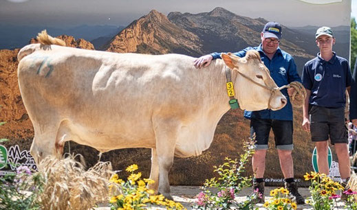MILK (Bijou x Dauphin) 5L 269j 4422kg - Gaec les Verts Sapinsà Autrans