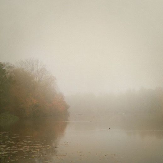 "Misty Sea" © Lena Weisbek