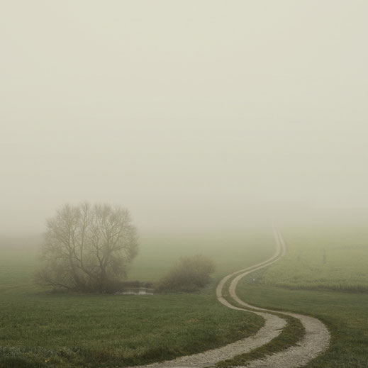 "Misty Sea" © Lena Weisbek