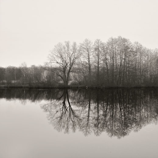 "Silence" Art Print von Lena Weisbek