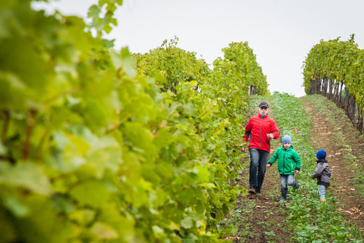 Weingut E & C Hirsch Watzelsdorf Familie im Weingarten