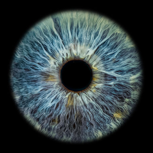 Iris Bild Blaue Augen Studio Tow 7