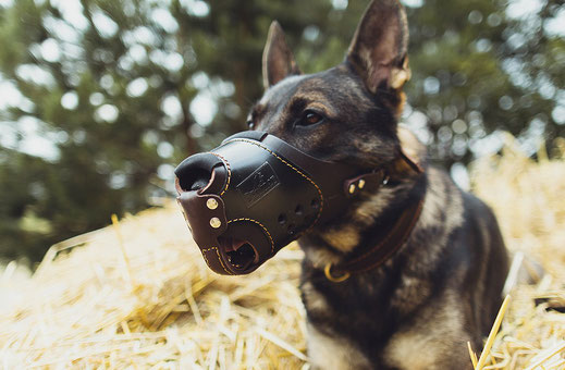 Dog Muzzle - WORKING DOG