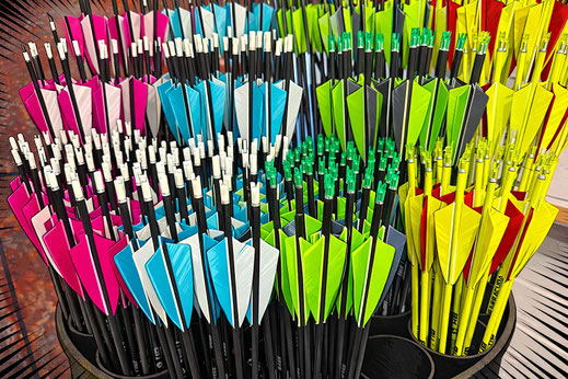 Carbonpfeile Barracuda Bodnik Bows Pfeile für Bogen kaufen bei FINK archery