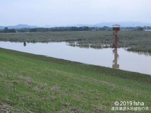 画像：2019/10/14 河川の水が越流した遊水池