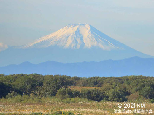 画像：2021/10/21 富士山