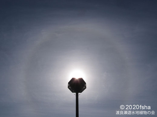 画像：2020/02/19 太陽の暈