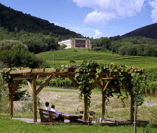 Villa Ludwigshöhe