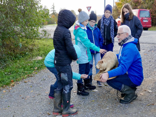 Dem Biber ganz nah (Foto: Ute Sanzenbacher)