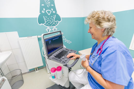 Kinderpraxis Weiz Dr. Mayer Eltern-Kind-Pass Heft Sonographie