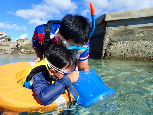 宮古島シュノーケル、宮古島スキンダイビング、シュノーケリング、ウミガメシュノーケリング、スキンダイビング、素潜り、バルーンフィッシュ宮古島ツアー写真