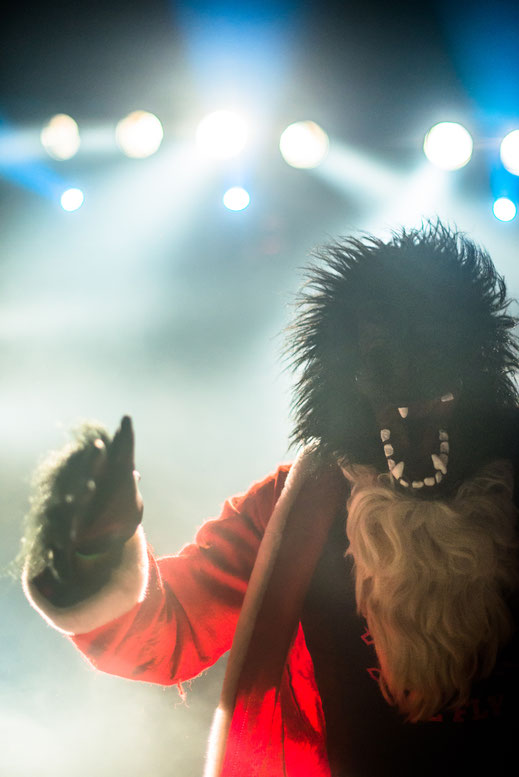 Concert Photography Hamburg
