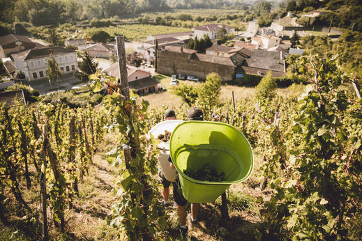 AOP AOC Condrieu coteaux viognier terrasse ardèche vin d’exception terroir appellation bio lune échalas AB