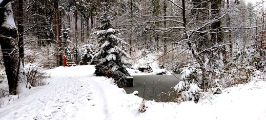 Schwarzer Teich und Fuhrmannsstein Wünschendorf im Winter