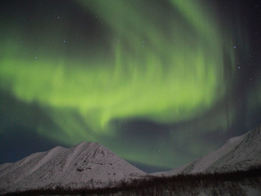 Aurora Borealis (Northern Lights Explorer)