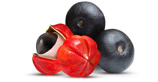 guarana psio drink extrait plante