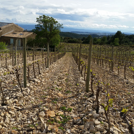 Domaine des Jeanneterres