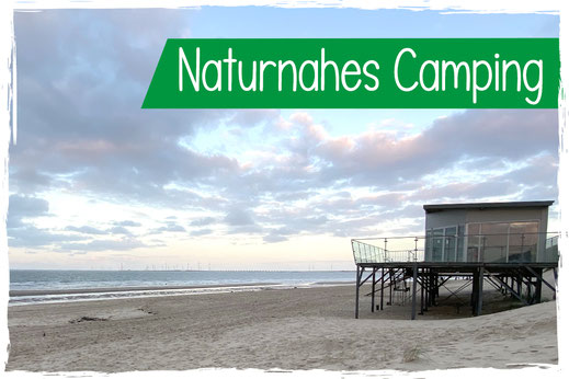 Duenencamping mit Hund Nordsee Zeeland Hundestrand 