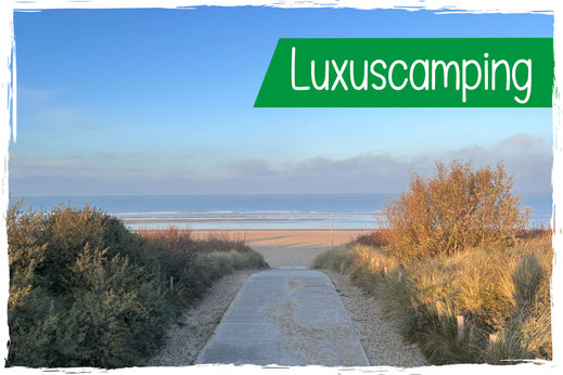Luxuscamping mit Hund Zeeland Hundedusche Hundefreilaufzone Hundestrand
