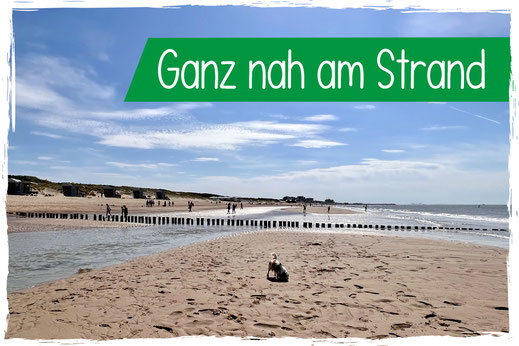 Hundefreundlicher Campingplatz Zeeland Cadzand nah am Strand