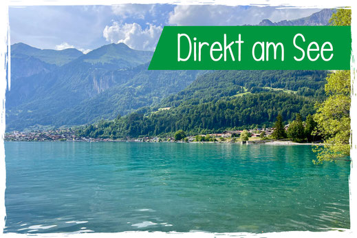 Hundefreundlicher Campingplatz am See Schweiz Brienz Seeblick Luxuscamping