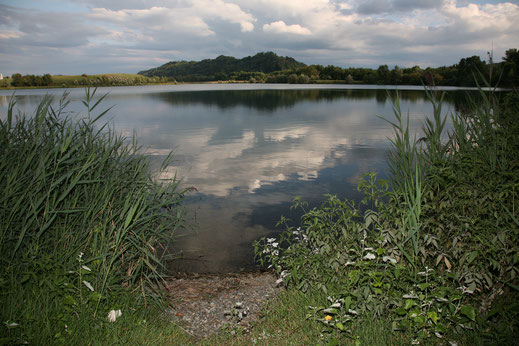 Pêche des carpes dans un lac privé