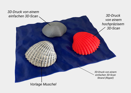 Auf einem blauen flächigem 3D-Duck von Rippeln (Strand) liegen drei Muscheln. Ein Originale Muschel, eine graue detailarme 3D-gedruckte Muschel und eine rote detailreiche 3D-gedruckte Muschel, die exakt wie die Originalmuschel aussieht.