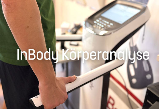 Icons für die Unterseiten Kraftmessung, Ausdauertest, Beweglichkeitstest, InBody-Körperanalyse und ärztliche Trainingsberatung