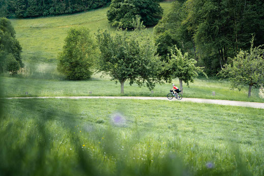 Deutschland; Baden-Württemberg; Naturparke Gravel-Crossing; Radfahren; Tourenplanung; Graveln; Bikepacking