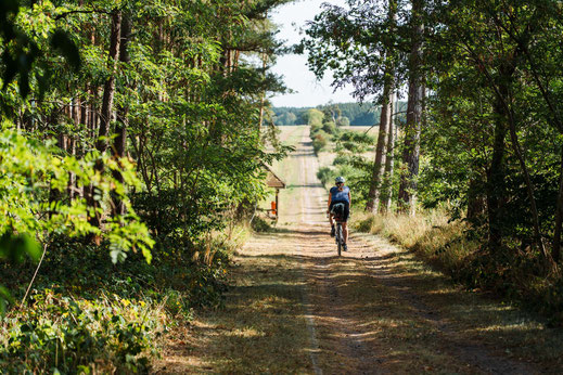 Deutschland; Brandenburg; Tourenplanung, Fahrradtour, Graveln