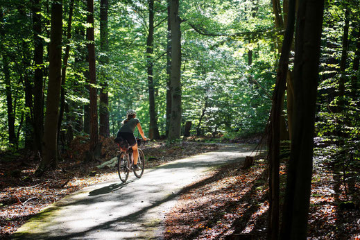 Deutschland; Brandenburg; Tourenplanung, Fahrradtour, Graveln