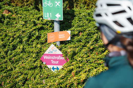 Österreich; Steiermark; Radfahren; Tourenplanung; Graveln; Bikepacking