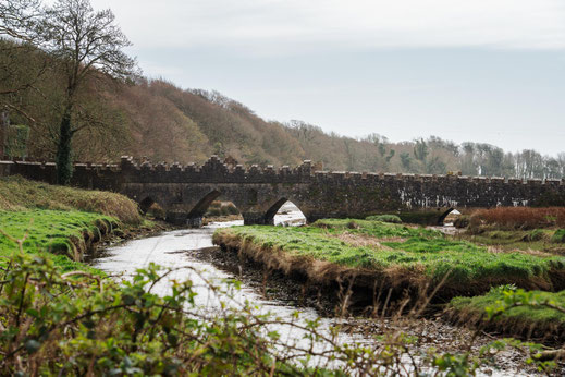 Irland; Radfahren; Tourenplanung; Bikepacking; EuroVelo 1