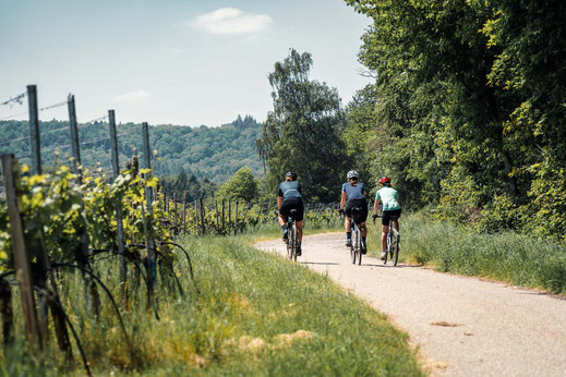 Deutschland; Baden-Württemberg; Naturparke Gravel-Crossing; Radfahren; Tourenplanung; Graveln; Bikepacking