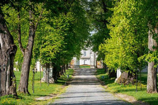 Lublin; Polen; Gravelbiken; Radrouten; Tourenplanung;