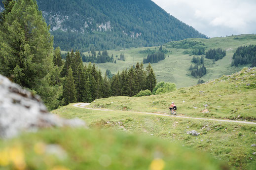 Österreich; Salzburger Land; Radfahren; Tourenplanung; Graveln; Bikepacking; Postalm; Wolfgangsee