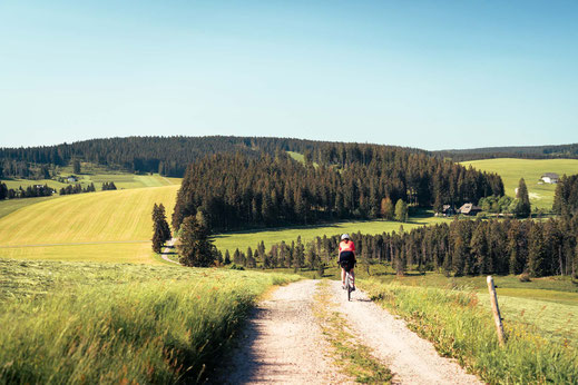 Deutschland; Baden-Württemberg; Naturparke Gravel-Crossing; Radfahren; Tourenplanung; Graveln; Bikepacking