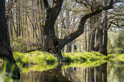 Südböhmen; Tschechien; Gravelbiken; Radfahren; Tourenplanung