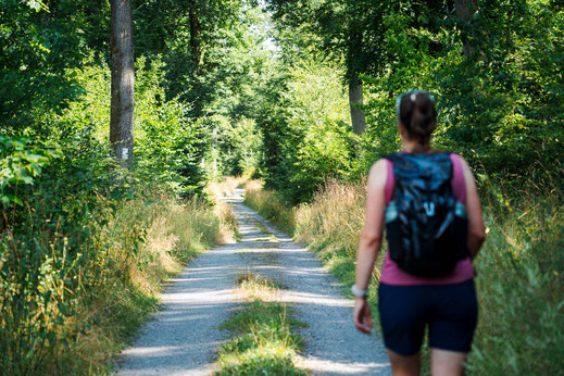 Deutschland; Baden-Württemberg; Wandern; Tourenplanung