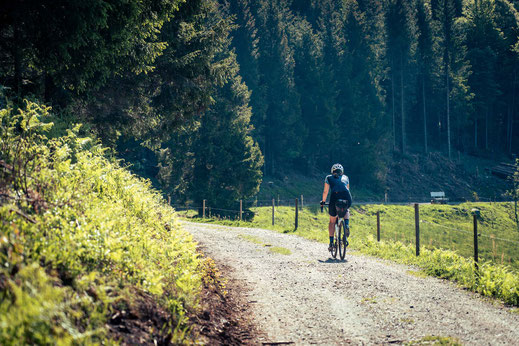 Deutschland; Baden-Württemberg; Naturparke Gravel-Crossing; Radfahren; Tourenplanung; Graveln; Bikepacking
