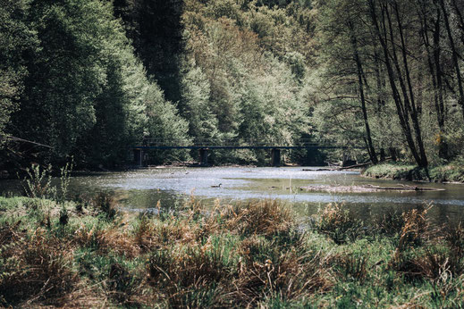 Belgien; Wallonie; Radfahren; Fahrradtour; Routenplanung; Bikepacking