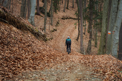 Österreich; Steiermark; Radfahren; Tourenplanung; Graveln; Bikepacking