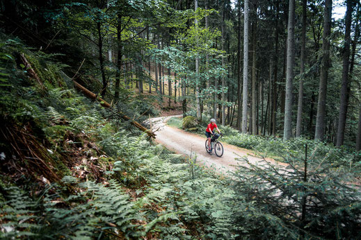 Deutschland; Baden-Württemberg; Naturparke Gravel-Crossing; Radfahren; Tourenplanung; Graveln; Bikepacking