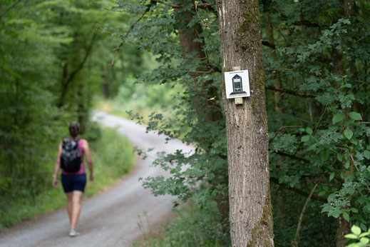 Deutschland; Baden-Württemberg; Wandern; Tourenplanung