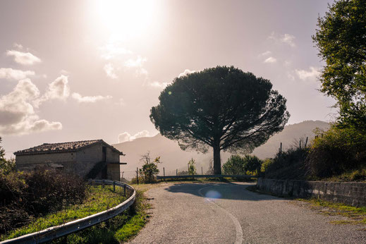 Italien; Kalabrien; Ciclovia Parchi; Radfahren; Tourenplanung; Graveln; Bikepacking