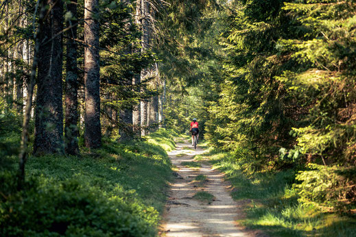 Deutschland; Baden-Württemberg; Naturparke Gravel-Crossing; Radfahren; Tourenplanung; Graveln; Bikepacking