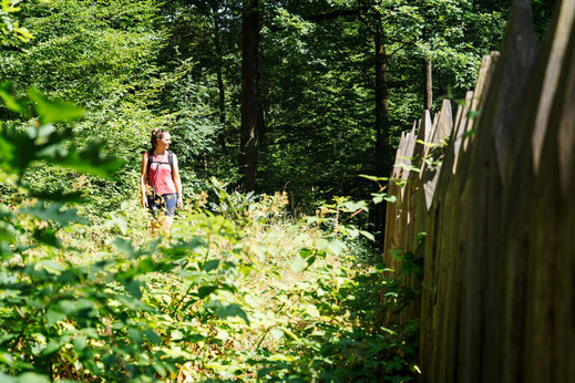 Deutschland; Baden-Württemberg; Wandern; Tourenplanung