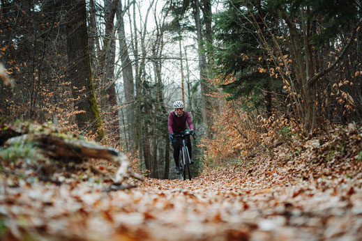 Österreich; Steiermark; Radfahren; Tourenplanung; Graveln; Bikepacking