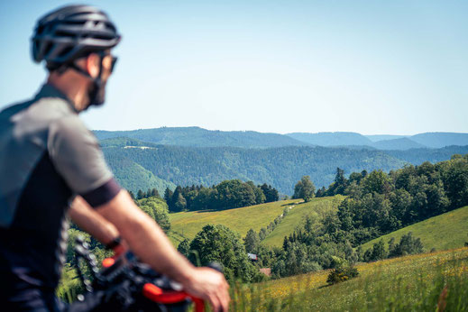 Deutschland; Baden-Württemberg; Naturparke Gravel-Crossing; Radfahren; Tourenplanung; Graveln; Bikepacking